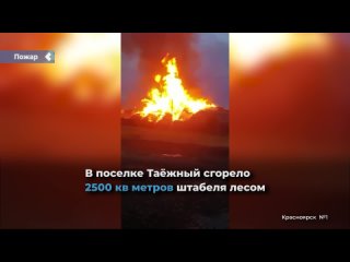 it took more than a day to put out the fire in the boguchansky district