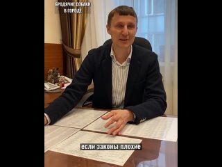 deputy of the legislative assembly of the krasnoyarsk territory called the mayors' statements chatter