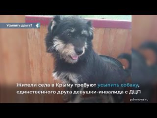 in crimea, villagers demand to euthanize a dog - the only friend of a disabled girl with cerebral palsy