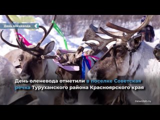 the day of the reindeer herder was celebrated in the village of sovetskaya rechka, turukhansk district