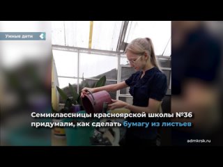 seventh-graders of the krasnoyarsk school no. 36 figured out how to make paper from leaves