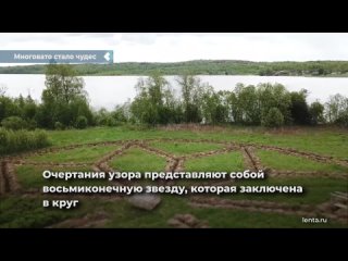 trees in the form of an ancient slavic symbol were planted in the leningrad region