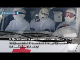 in dagestan, five people were hospitalized with suspected anthrax