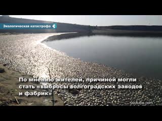 mass death of fish occurred in kalmykia