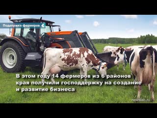 14 farmers from the krasnoyarsk territory received state support