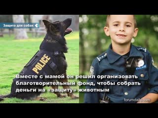 in the us, the boy raised more than 315 thousand dollars to buy bulletproof vests for police dogs