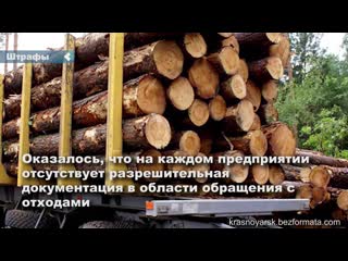 five timber processing companies in the krasnoyarsk territory fined millions