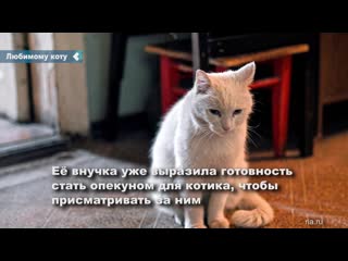 russian woman intends to bequeath an apartment to her beloved cat