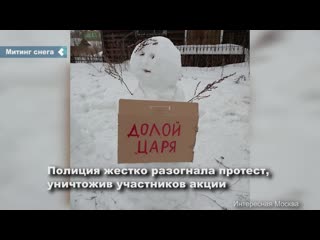 an unusual protest took place in the arkhangelsk region, where the protesters turned out to be snowmen with anti-putin posters