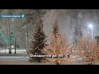 norilsk schoolchildren were allowed not to go to school