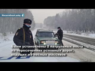 a large-scale raid took place in the krasnoyarsk territory