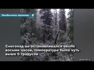 snow fell in the sayano-shushensky reserve in the middle of summer