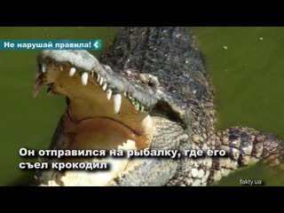 crocodile ate man who violated quarantine