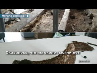 a couple from norway found a grave of a viking under the floor of their house during the renovation