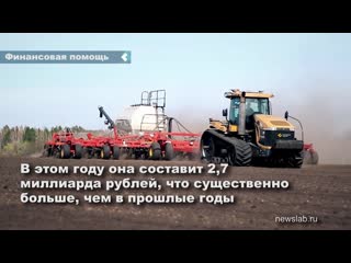 farmers will receive about 3 billion rubles from the state in the krasnoyarsk territory