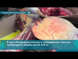 horse meat was transported from krasnoyarsk to achinsk without documents