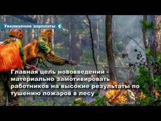 forest firefighters will increase the salary in the krasnoyarsk territory