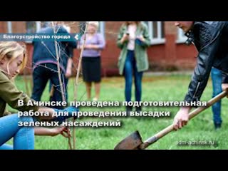 more than 3,000 seedlings are planned to be allocated for the spring gardening of achinsk