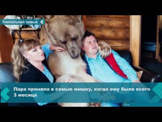 an unusual family member lives in one of the russian families