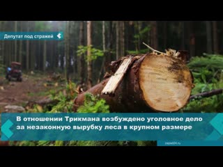 deputy suspected of organizing illegal deforestation arrested