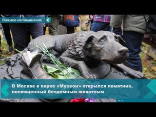 in moscow, a monument dedicated to homeless animals was opened in muzeon park