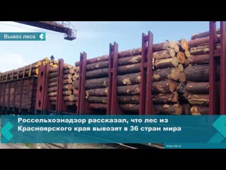 timber from the krasnoyarsk territory is exported to 36 countries of the world