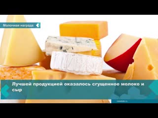 international tasting competition "dairy success-2019" was held in sochi