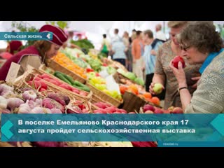 it will be possible to join the village culture at the exhibition in yemelyanovo