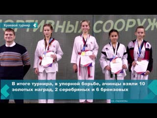 open regional taekwondo tournament was held in krasnoyarsk