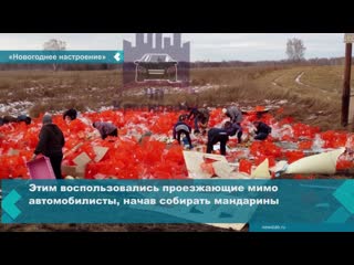 residents of kansk replenished the supply of fruit