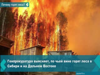 the prosecutor general's office found traces of deliberate arson in the siberian forests