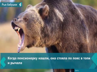 khabarovsk pensioner stood in a quagmire for a day, scaring away a bear with a roar