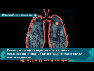 the investigative committee opened a criminal case on negligence that led to large-scale fires in the krasnoyarsk territory