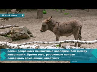 russia to ban petting zoos