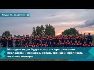 students from all over russia arrived in the krasnoyarsk territory to help eliminate fires