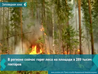 in the krasnoyarsk territory, tourists were banned from visiting the reserve due to forest fires