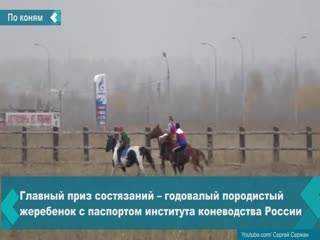 equestrian competitions will be held in achinsk