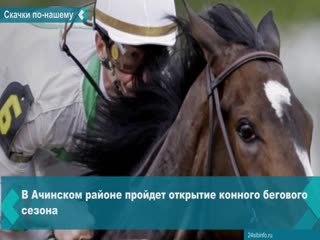 equestrian racing season will open in achinsk